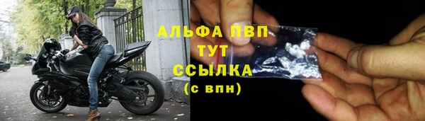 твердый Володарск