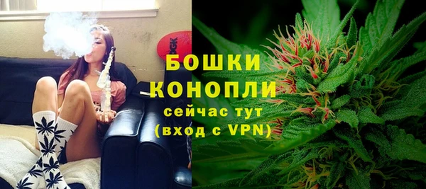 метадон Лагань