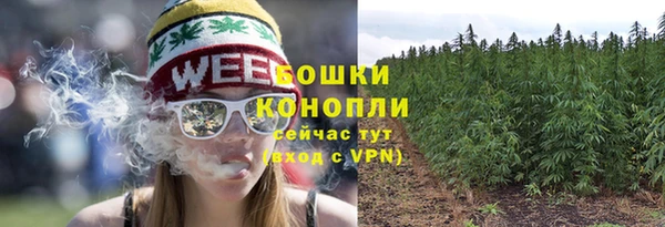 метадон Лагань