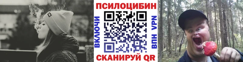 кракен ССЫЛКА  Выкса  Псилоцибиновые грибы прущие грибы 