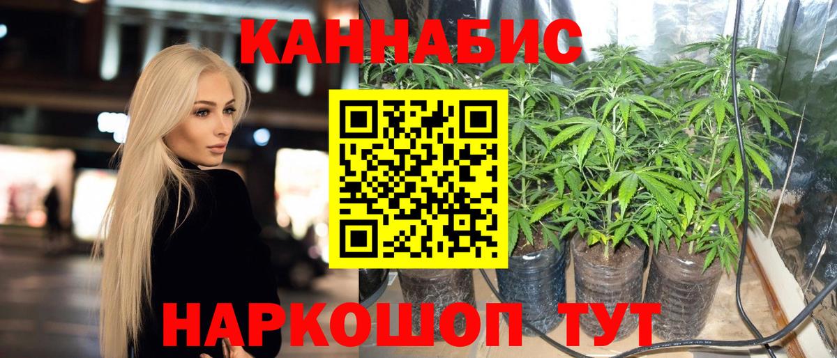 Бошки Шишки гибрид  Конопля SATIVA & INDICA  Канабис OG Kush  Выкса 